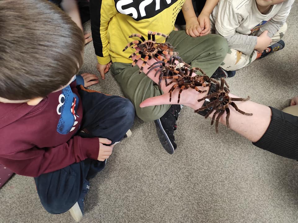 332707086_932034064818937_2299105680240059320_n